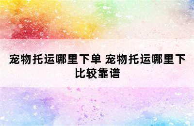 宠物托运哪里下单 宠物托运哪里下比较靠谱